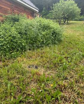 Дом 105м², 1-этажный, участок 9 сот.  