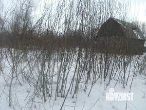 Дом 44м², 1-этажный, участок 15 сот.  