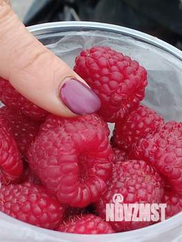 Дом 30м², 2-этажный, участок 7 сот.  