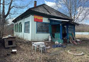 Дом 42м², 1-этажный, участок 13 сот.  