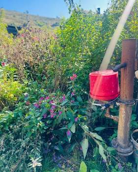 Дом 48м², 1-этажный, участок 9 сот.  