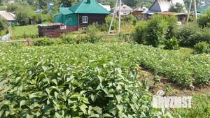 Дом 66м², 1-этажный, участок 10 сот.  