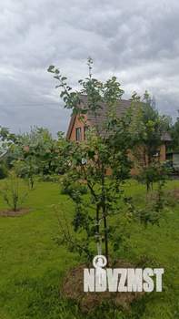 Дом 123м&sup2;, 2-этажный, участок 37 сот.  