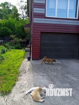 Дом 240м&sup2;, 2-этажный, участок 6 сот.  