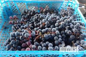 Дом 30м², 2-этажный, участок 7 сот.  