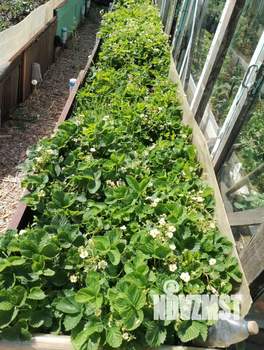 Дом 30м², 2-этажный, участок 7 сот.  