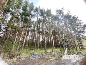 Дом 60м², 1-этажный, участок 6 сот.  