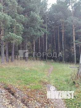 Дом 39м&sup2;, 1-этажный, участок 10 сот.  