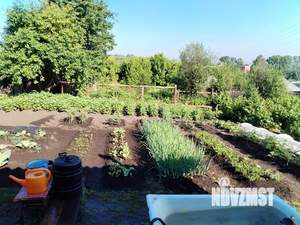 Дом 39м², 1-этажный, участок 8 сот.  