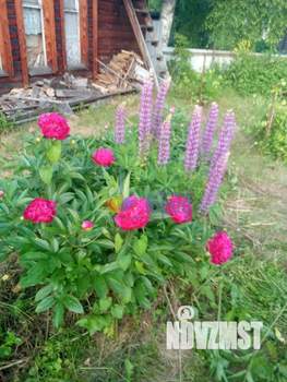 Дом 20м², 1-этажный, участок 9 сот.  