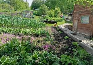 Дом 84м², 2-этажный, участок 9 сот.  