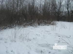 Дом 44м², 1-этажный, участок 15 сот.  