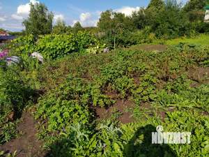 Дом 19м², 1-этажный, участок 20 сот.  