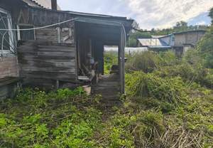 Дом 27м², 1-этажный, участок 6 сот.  