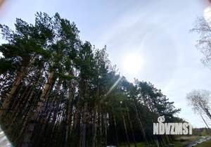 Дом 60м², 1-этажный, участок 6 сот.  