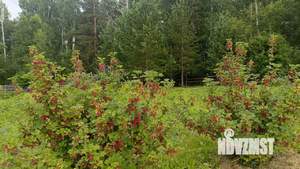 Дом 123м², 2-этажный, участок 37 сот.  