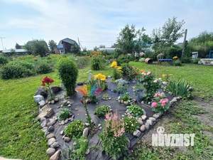 Дом 104м², 1-этажный, участок 9 сот.  