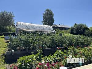 Дом 95м², 2-этажный, участок 8 сот.  