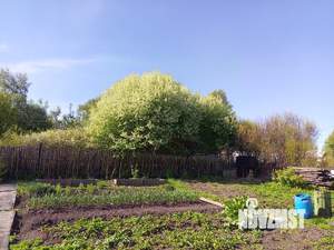 Дом 46м², 1-этажный, участок 10 сот.  