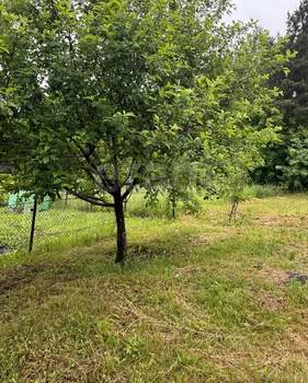 Дом 105м², 1-этажный, участок 9 сот.  