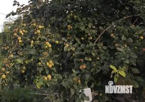 Дом 30м², 2-этажный, участок 7 сот.  