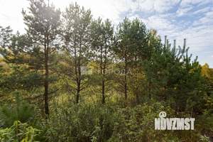 Дом 56м&sup2;, 2-этажный, участок 15 сот.  