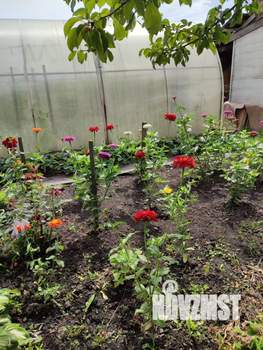 Дом 77м², 1-этажный, участок 10 сот.  