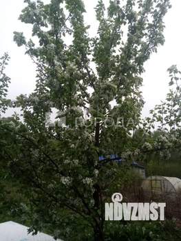 Дом 49м², 2-этажный, участок 8 сот.  
