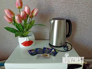 1-к квартира, посуточно, 29м2, 6/9 этаж