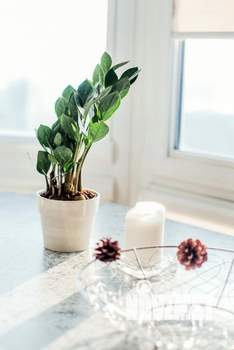 2-к квартира, посуточно, 65м2, 1/1 этаж