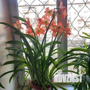 1-к квартира, посуточно, 30м2, 1/5 этаж