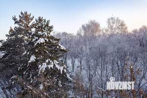 Студия квартира, вторичка, 45м2, 4/5 этаж