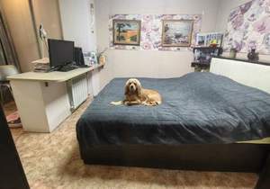3-к квартира, вторичка, 56м2, 1/9 этаж