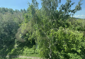 2-к квартира, вторичка, 44м2, 5/9 этаж