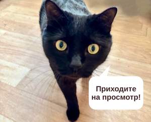 1-к квартира, вторичка, 31м2, 4/5 этаж