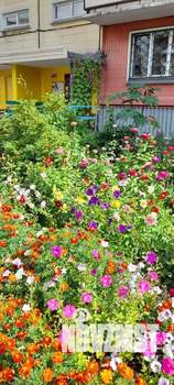 2-к квартира, вторичка, 55м2, 5/10 этаж